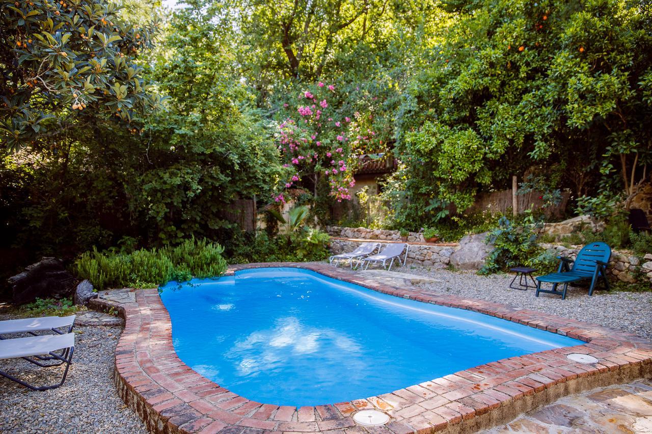 Casa Rural La Casa Del Bosque Navaconcejo Εξωτερικό φωτογραφία